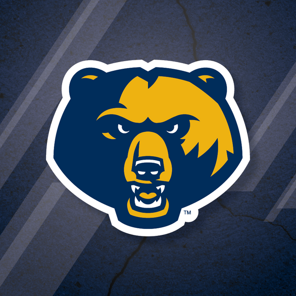 The WVU Tech athletics bear head logo on a cracked background.